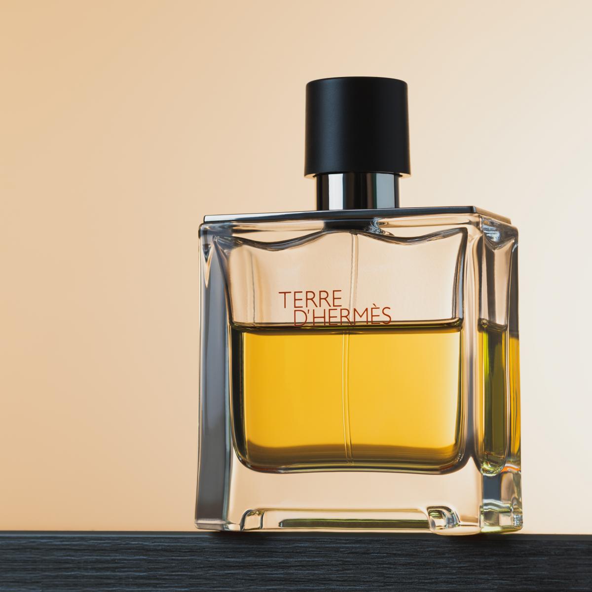 Terre d'Hermes Parfum Hermès for men